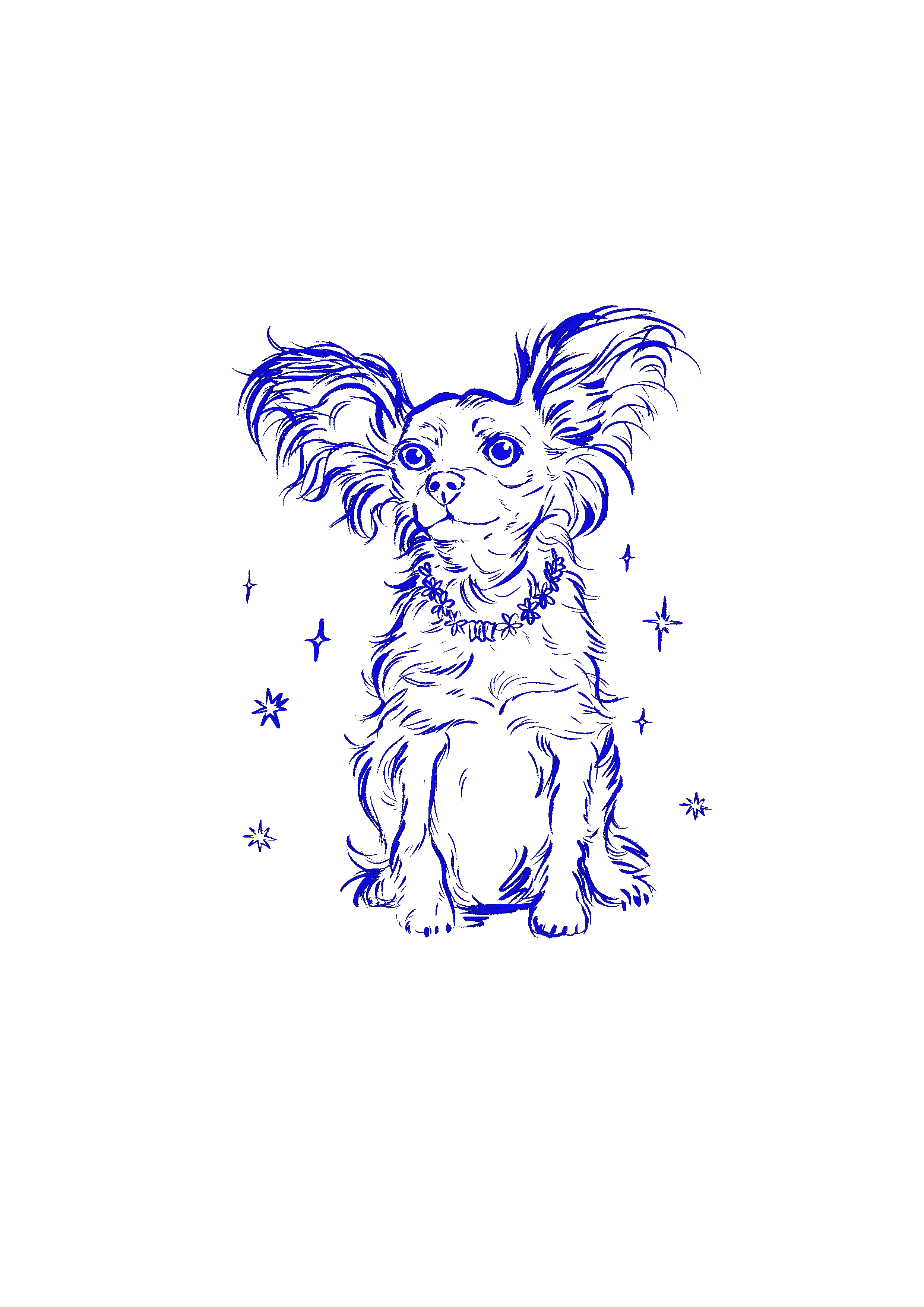 a russian toy terrier surrounded with animated sparkles