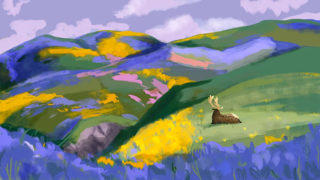  a digital illustration in painterly style depicting a deer laying down on a meadow full of blooming purple, yellow and pink flowers